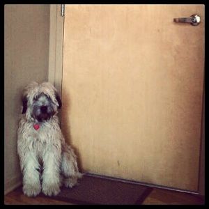 Meet your Posher, Alison